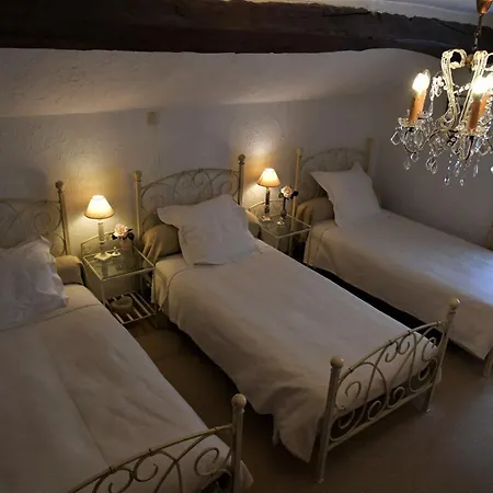 Ferienhaus Au Charme Du 13 Faubourg De France A *