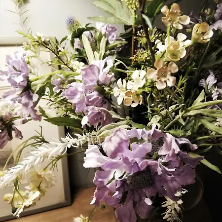 Сasa de vacaciones Au 13 Du Faubourg De France A Bouillon, Un Cocon Plein De Charme Bouillon