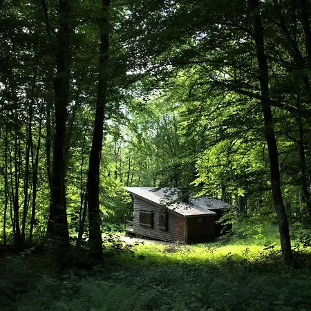 Holiday home Au Charme Du 13 Faubourg De France A *