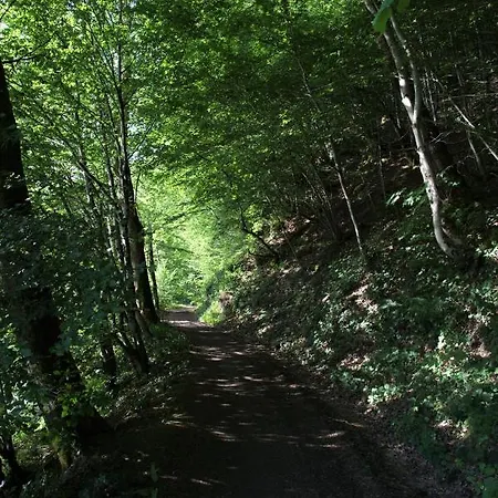 Semesterbostad Bouillon, Au Faubourg De France, Face A La Semois
