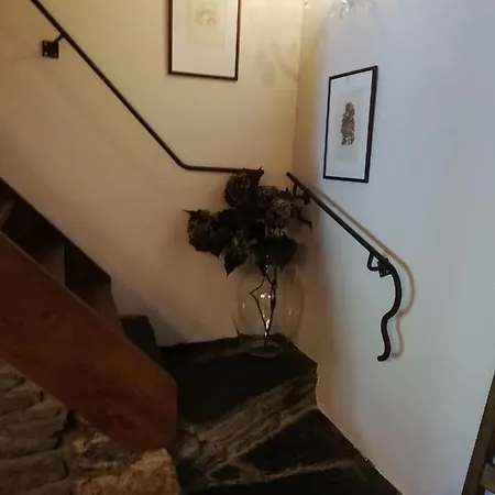 Au Charme Du 13 Faubourg De France A Ferienhaus