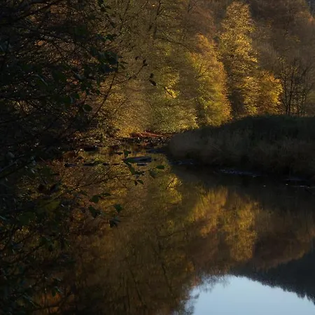 Bouillon, Au Faubourg De France, Face A La Semois Semesterbostad *