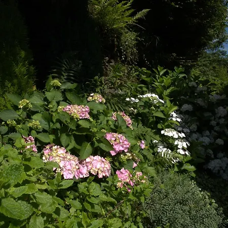 Holiday home Au Charme Du 13 Faubourg De France A