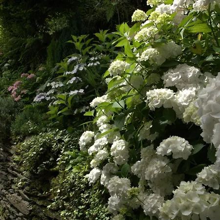 Au 13 Du Faubourg De France A Bouillon, Un Cocon Plein De Charme Bouillon