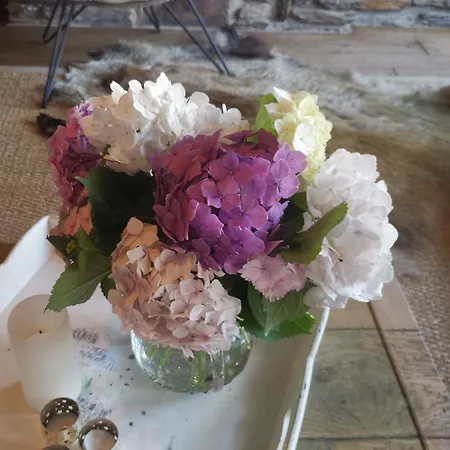 Au 13 Du Faubourg De France A Bouillon, Un Cocon Plein De Charme Сasa de vacaciones Bouillon