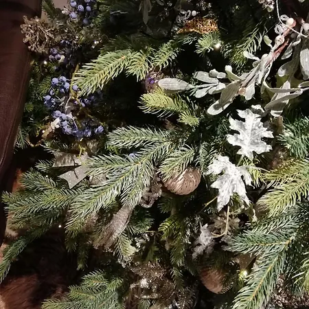 Au 13 Du Faubourg De France A Bouillon, Un Cocon Plein De Charme