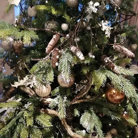 Au 13 Du Faubourg De France A Bouillon, Un Cocon Plein De Charme Prázdninový dům