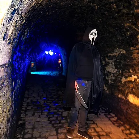 Hébergement de vacances Au 13 Du Faubourg De France à Bouillon, Un Cocon Plein De Charme