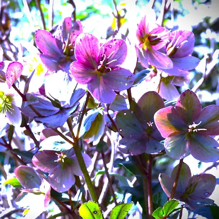 Au 13 Du Faubourg De France A Bouillon, Un Cocon Plein De Charme *