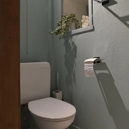 Au Charme Du 13 Faubourg De France A Ferienhaus *