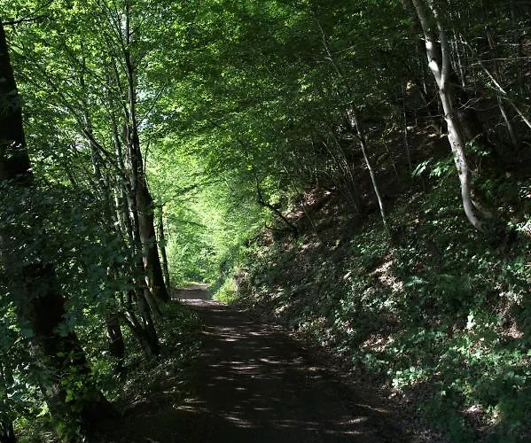بيت للعطل Au 13 Du Faubourg De France A Bouillon, Un Cocon Plein De Charme