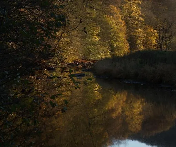 Au 13 Du Faubourg De France A Bouillon, Un Cocon Plein De Charme بيت للعطل *