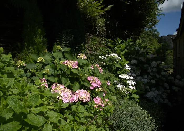 بيت للعطل Au 13 Du Faubourg De France A Bouillon, Un Cocon Plein De Charme