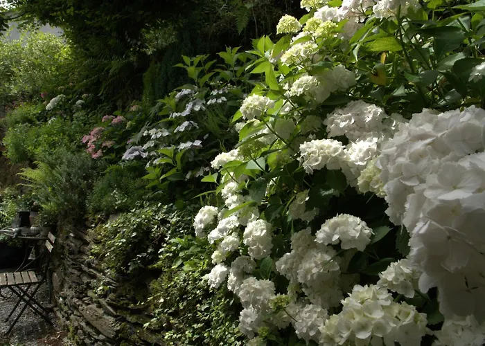 Au 13 Du Faubourg De France A Bouillon, Un Cocon Plein De Charme بوالون
