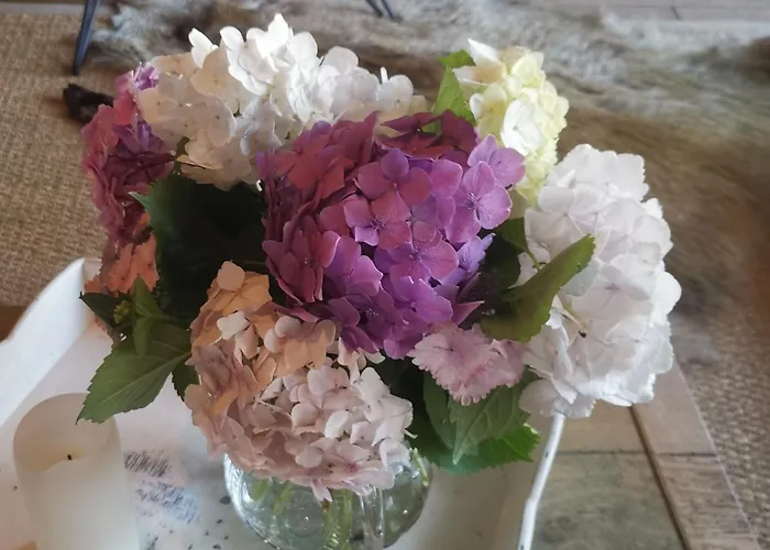 Au 13 Du Faubourg De France A Bouillon, Un Cocon Plein De Charme بيت للعطل بوالون