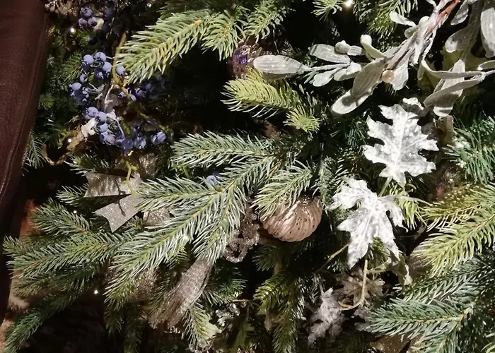 Au 13 Du Faubourg De France A Bouillon, Un Cocon Plein De Charme